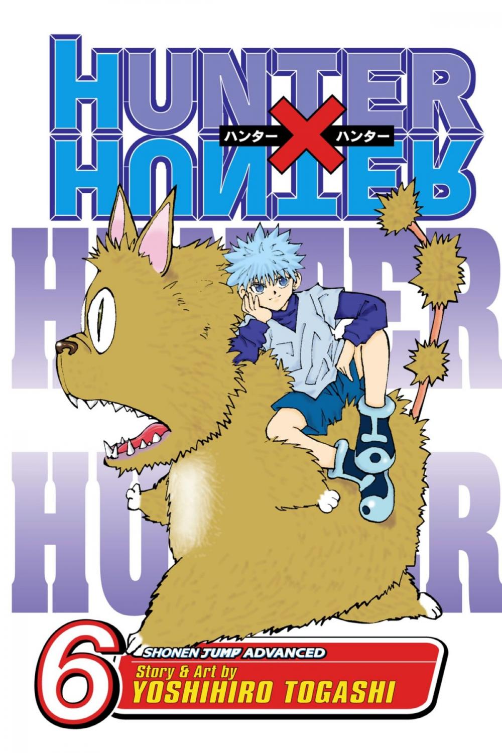 Big bigCover of Hunter x Hunter, Vol. 6