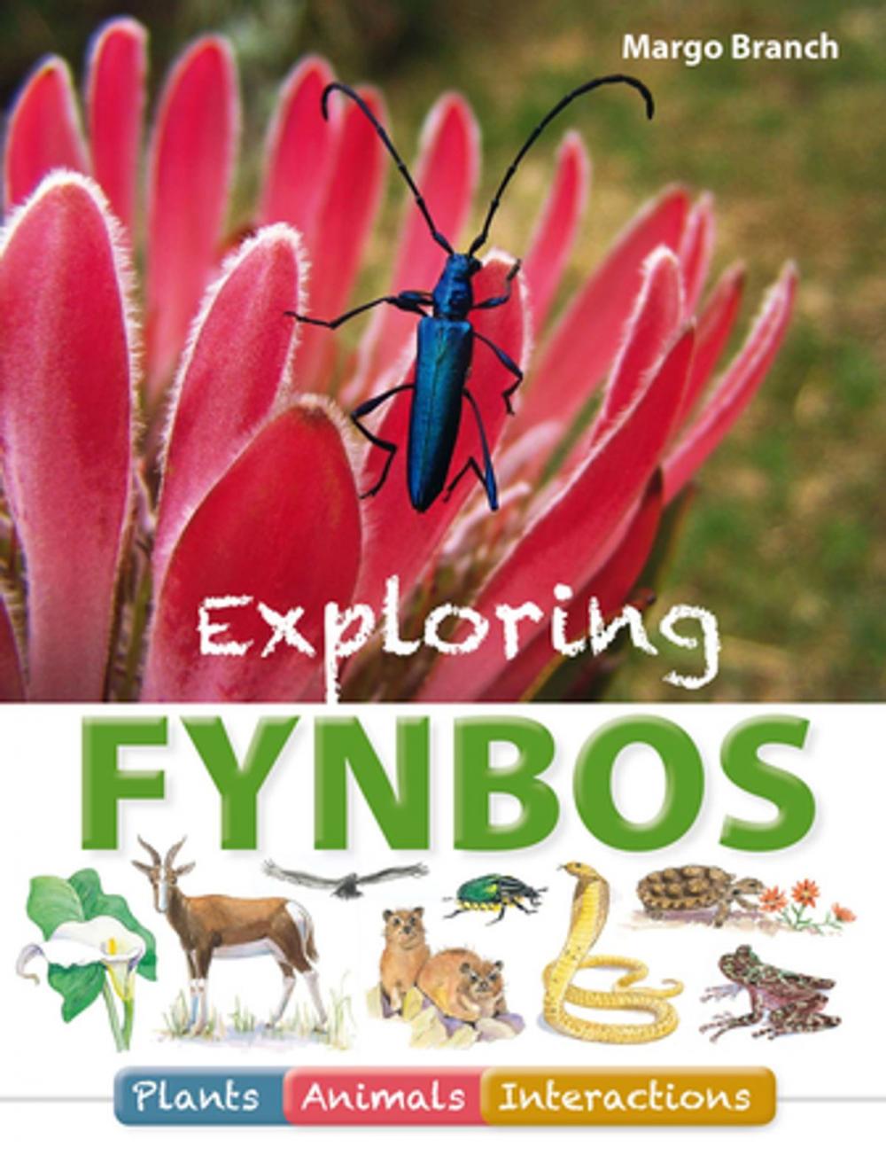 Big bigCover of Exploring Fynbos: Plants, Animals, Interactions.