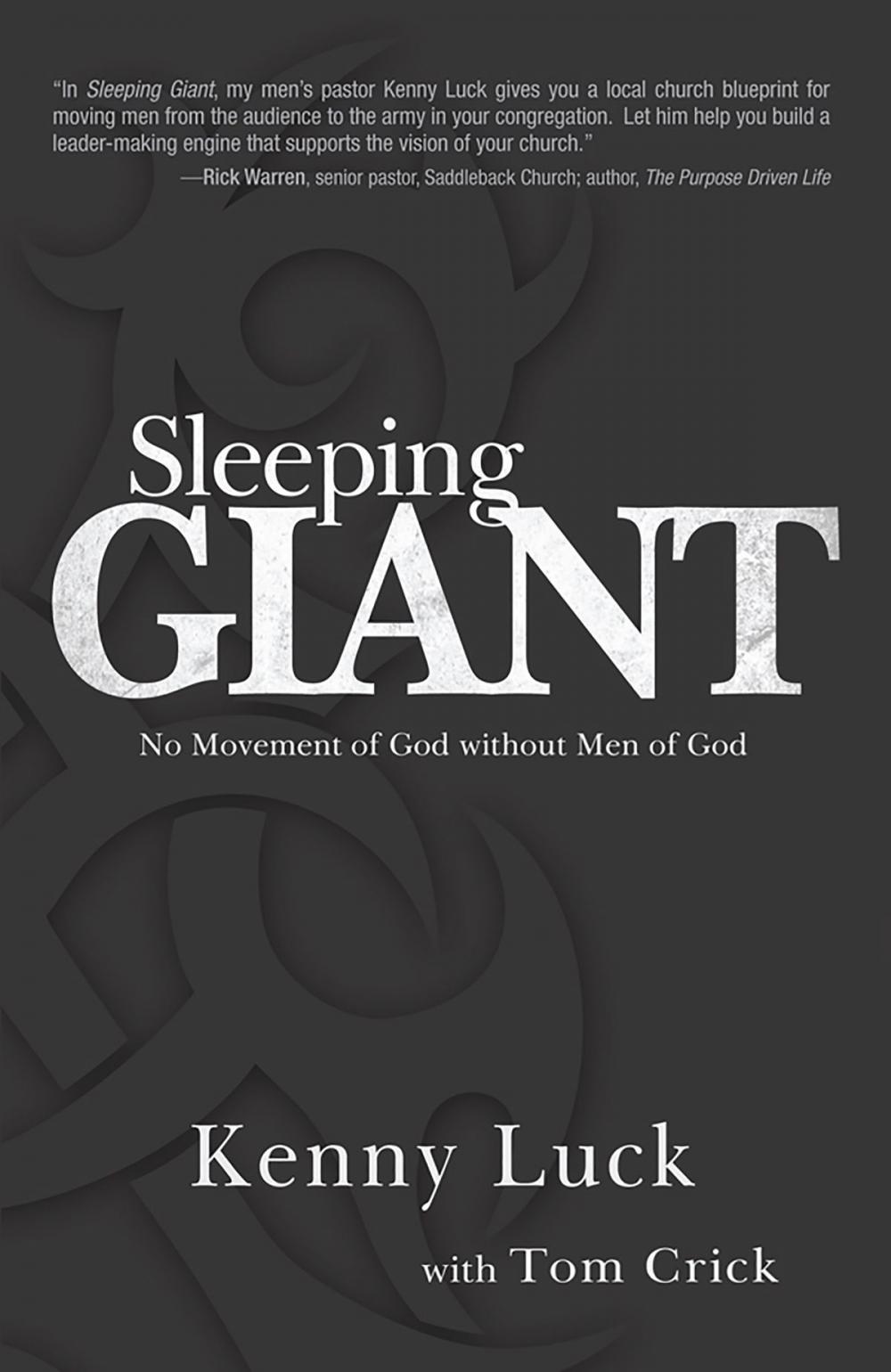 Big bigCover of Sleeping Giant