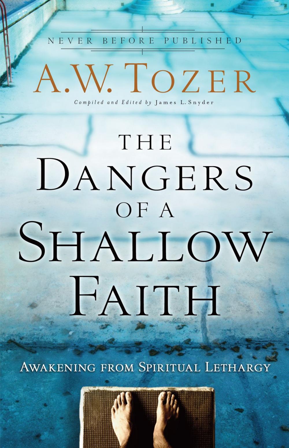 Big bigCover of The Dangers of a Shallow Faith