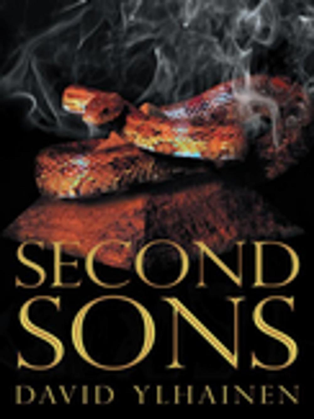 Big bigCover of Second Sons