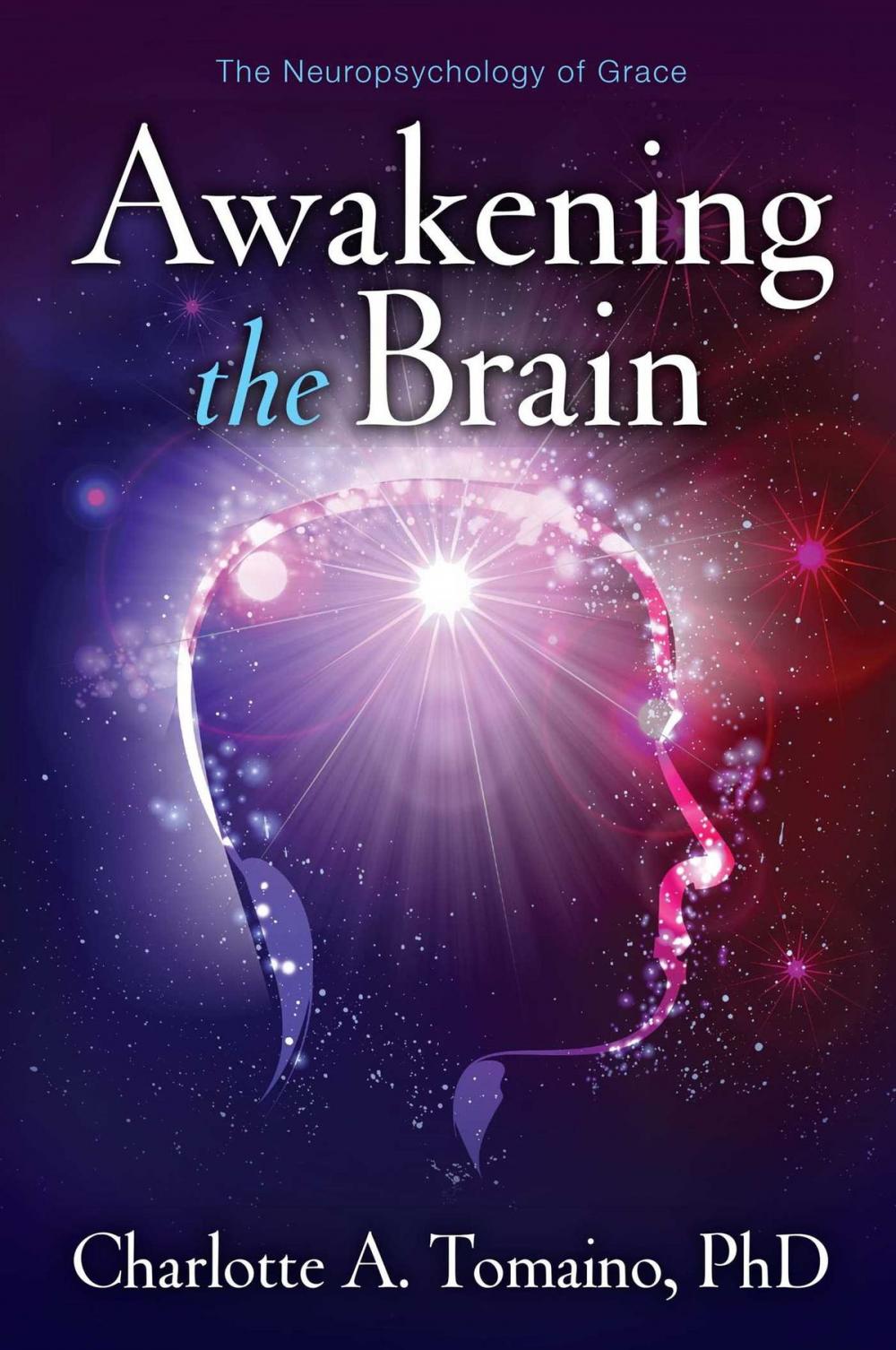 Big bigCover of Awakening the Brain