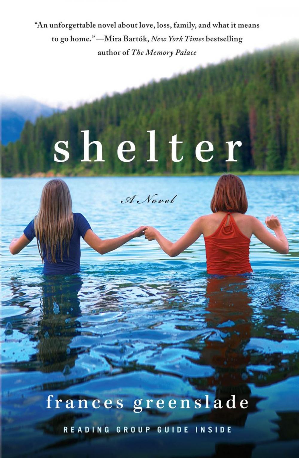 Big bigCover of Shelter