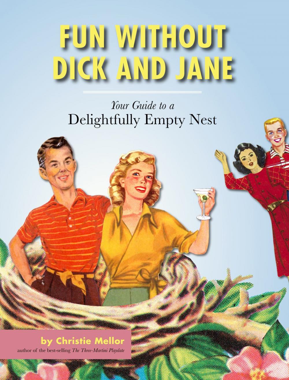 Big bigCover of Fun without Dick and Jane