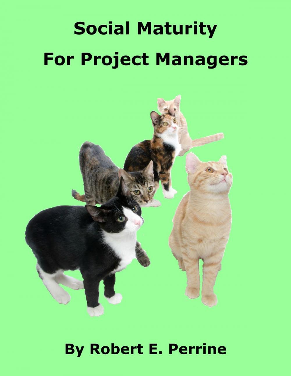 Big bigCover of Social Maturity for Project Managers