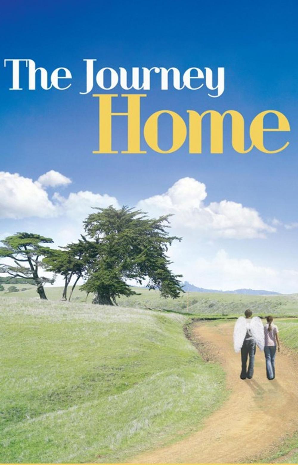 Big bigCover of The Journey Home