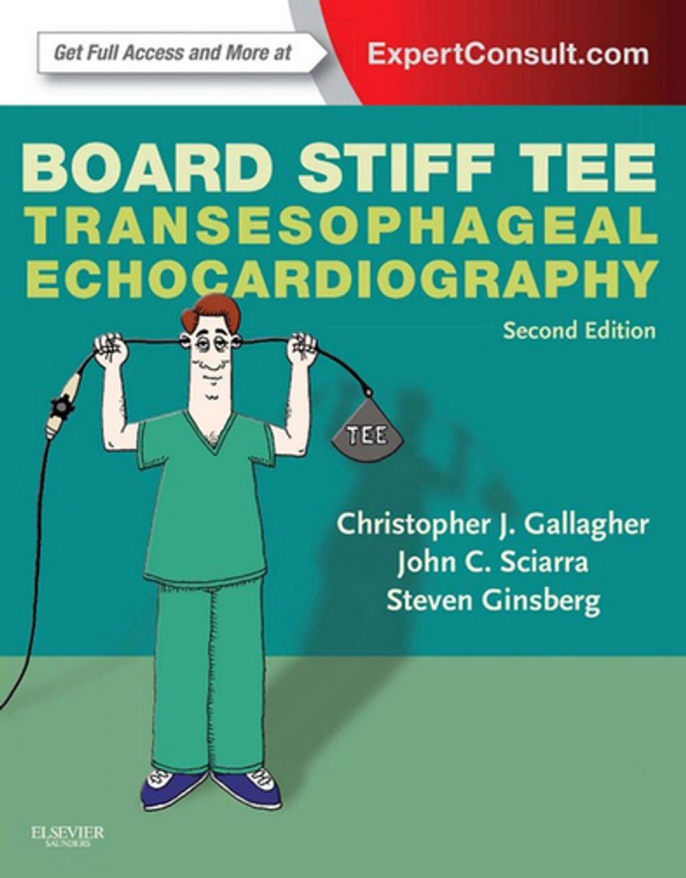 Big bigCover of Board Stiff TEE E-Book