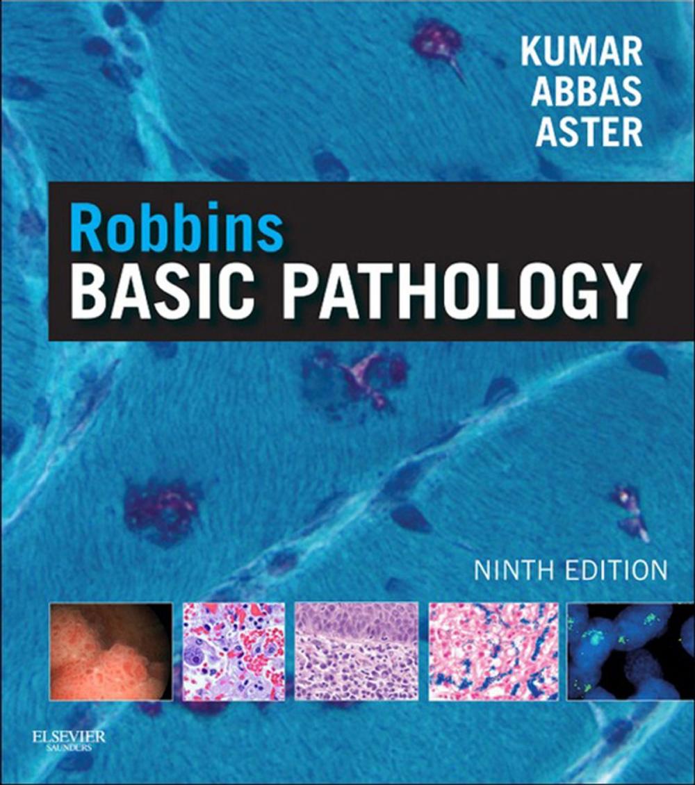 Big bigCover of Robbins Basic Pathology E-Book