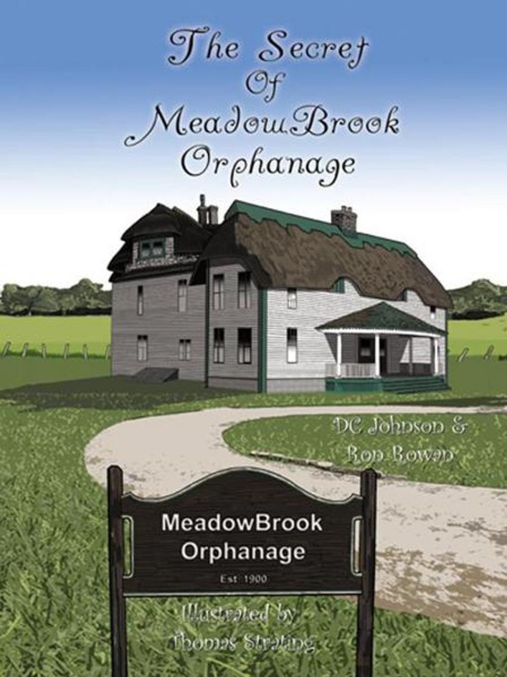 Big bigCover of The Secret of Meadowbrook Orphanage