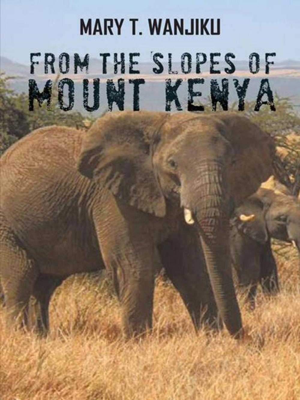 Big bigCover of From the Slopes of Mount Kenya