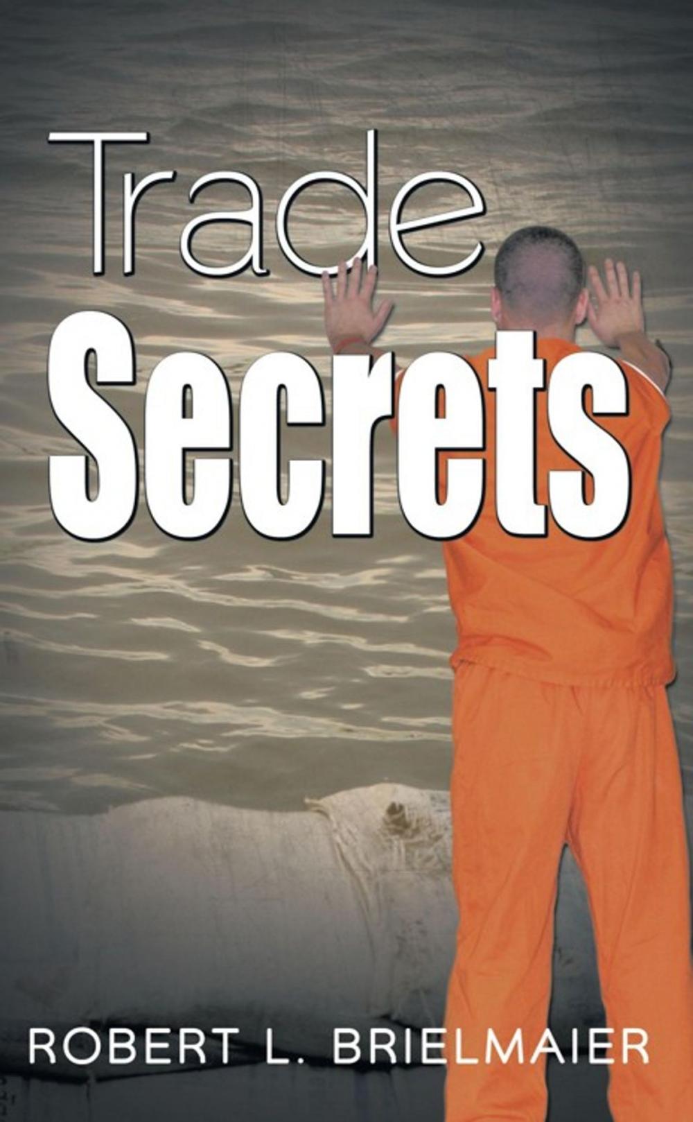 Big bigCover of Trade Secrets