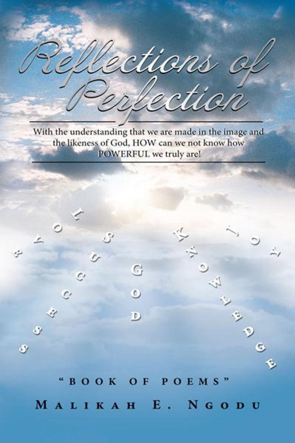 Big bigCover of Reflections of Perfection