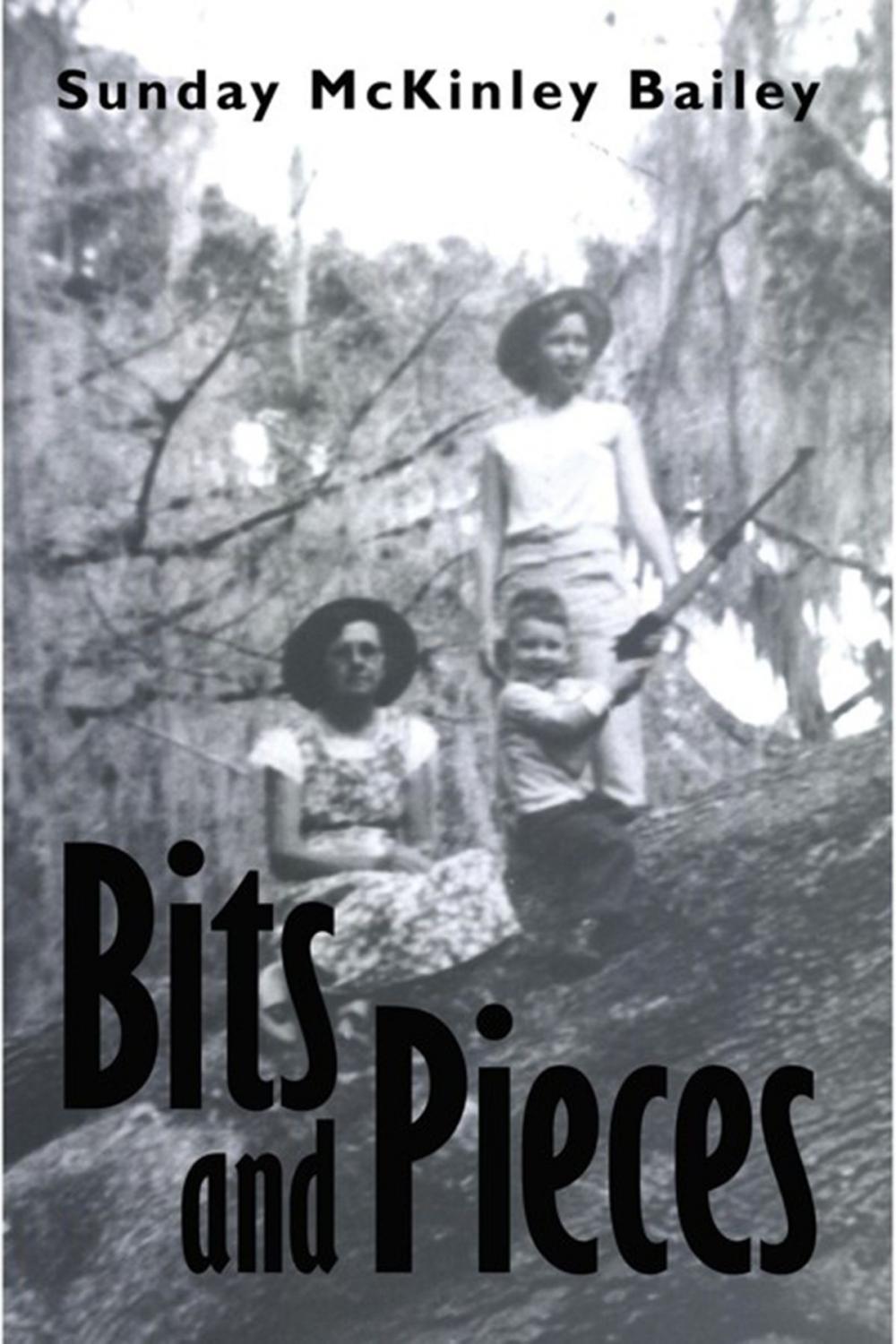 Big bigCover of Bits and Pieces