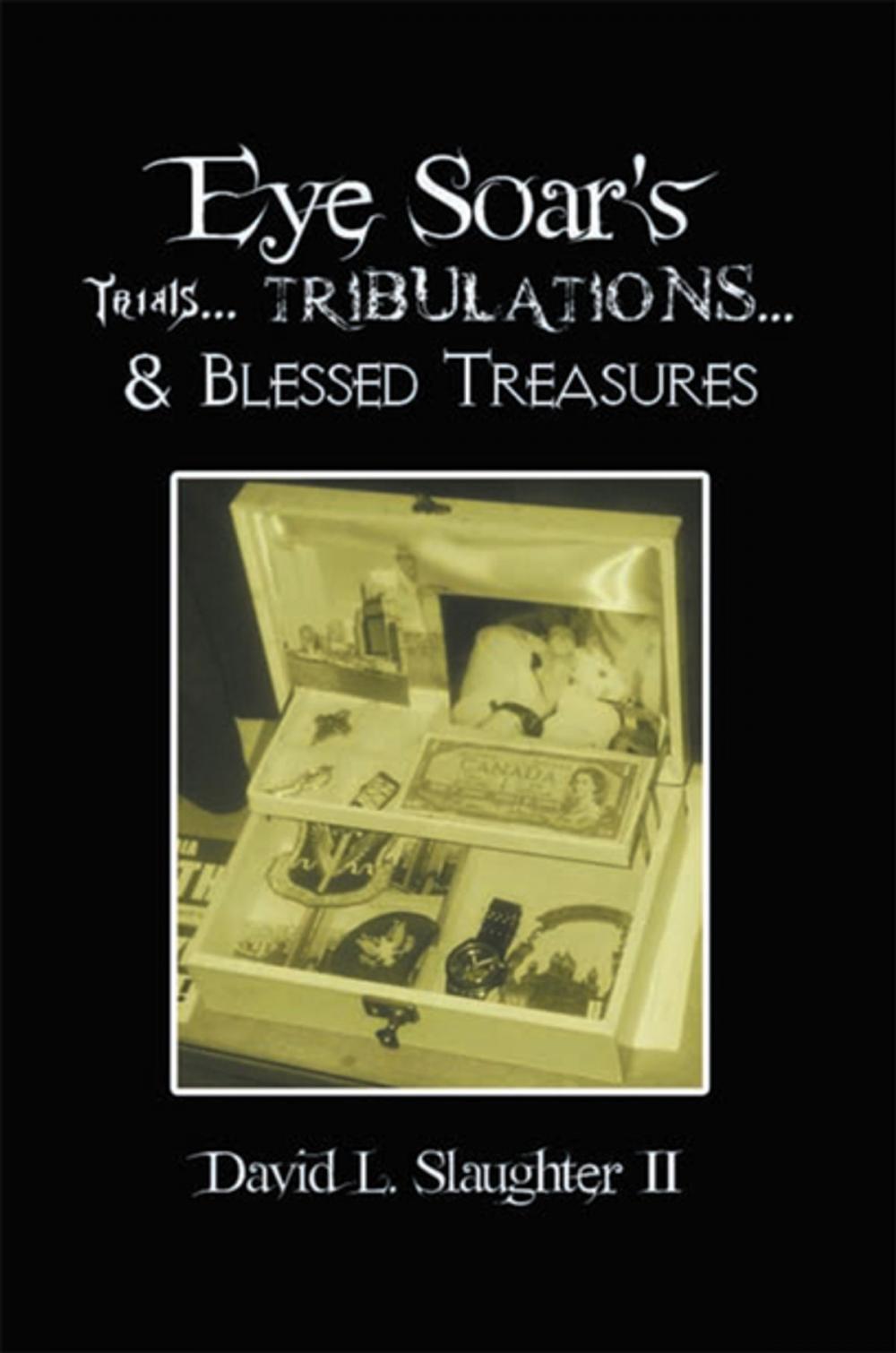 Big bigCover of Eye Soar's Trials... Tribulations... & Blessed Treasures