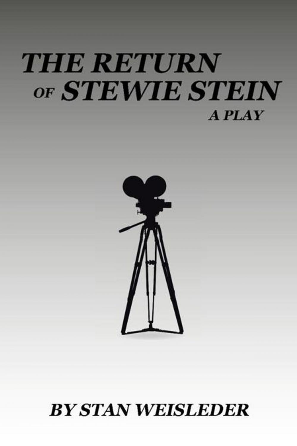 Big bigCover of The Return of Stewie Stein