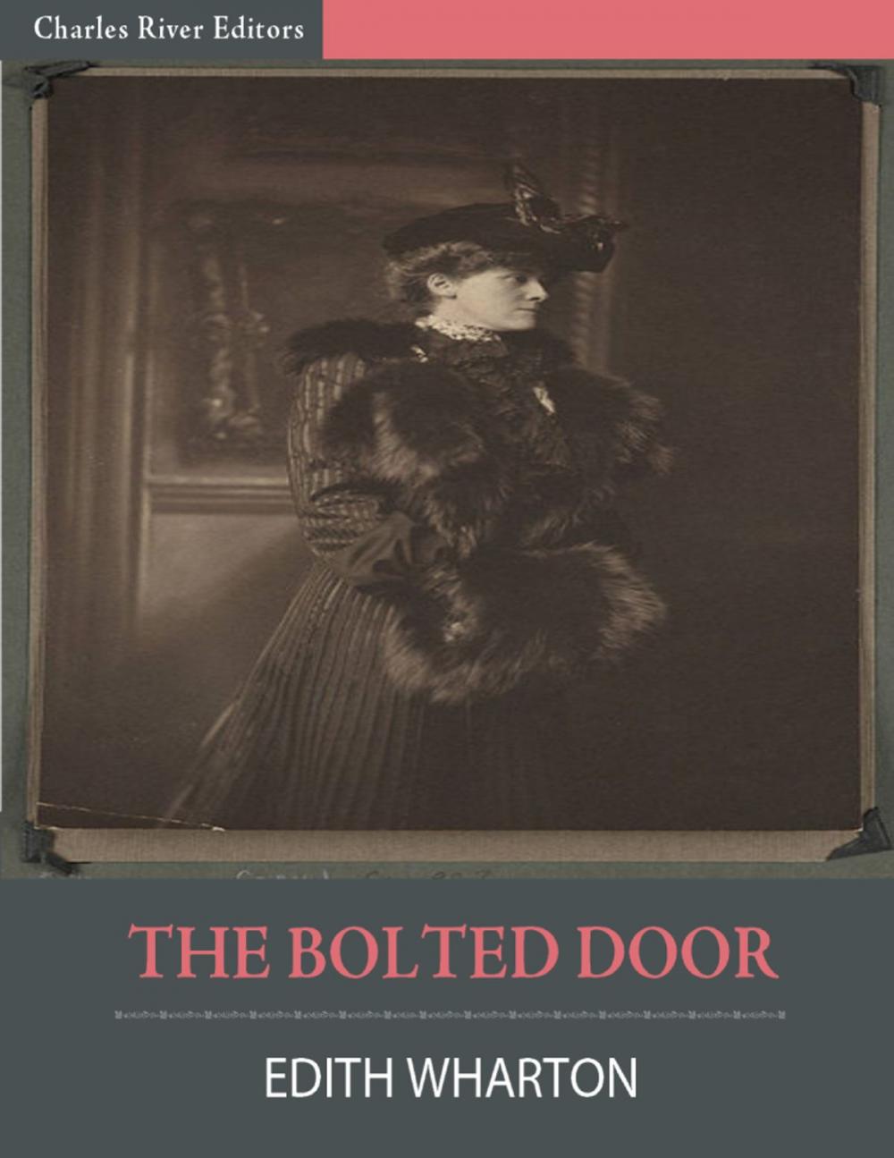 Big bigCover of The Bolted Door (Illustrated)