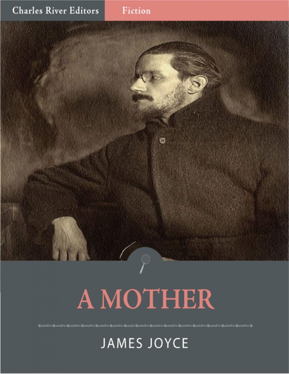 Big bigCover of A Mother (Illustrated Edition)