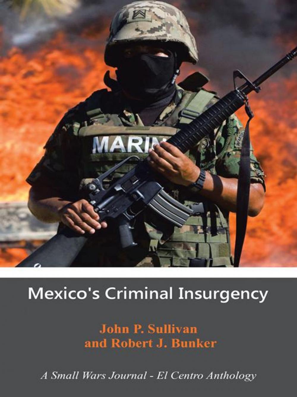 Big bigCover of Mexico's Criminal Insurgency