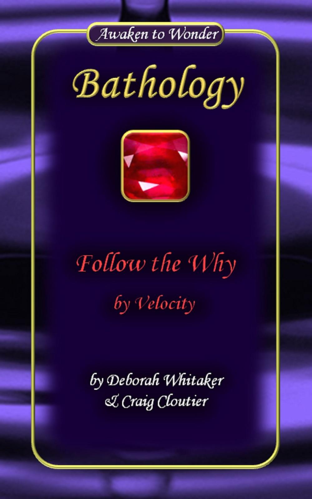 Big bigCover of Follow the Why by Velocity Bathology Series