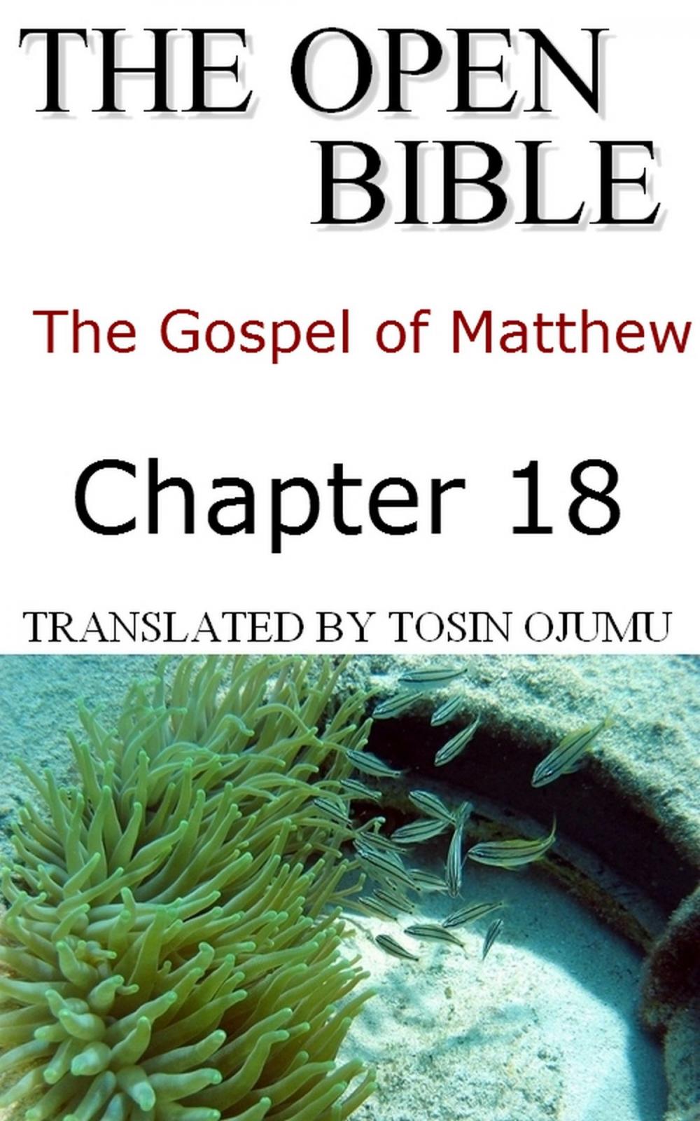 Big bigCover of The Open Bible: The Gospel of Matthew: Chapter 18