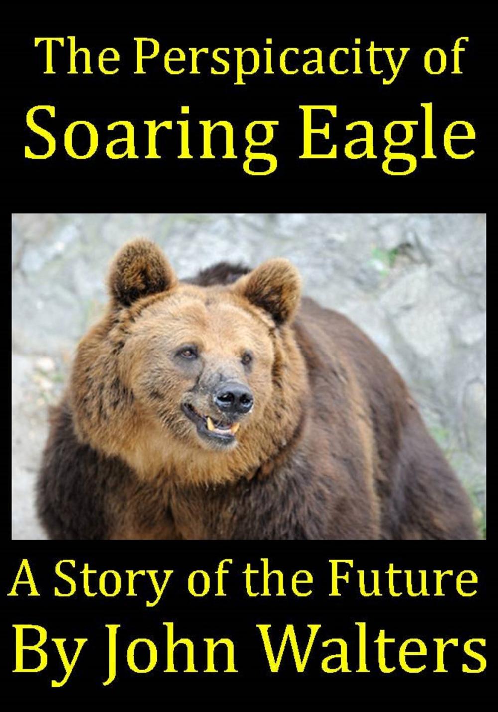 Big bigCover of The Perspicacity of Soaring Eagle