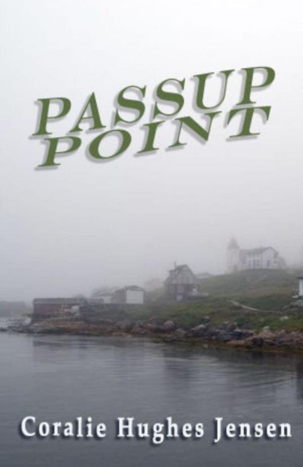 Big bigCover of Passup Point
