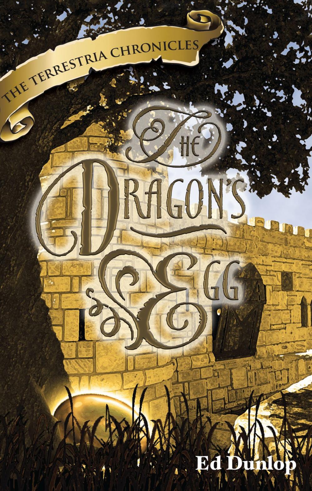 Big bigCover of The Dragon's Egg