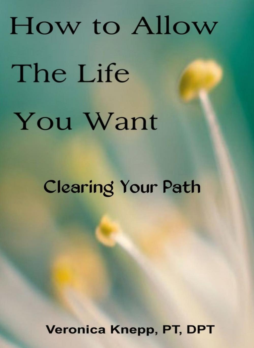 Big bigCover of How to Allow the Life You Want: Clearing Your Path