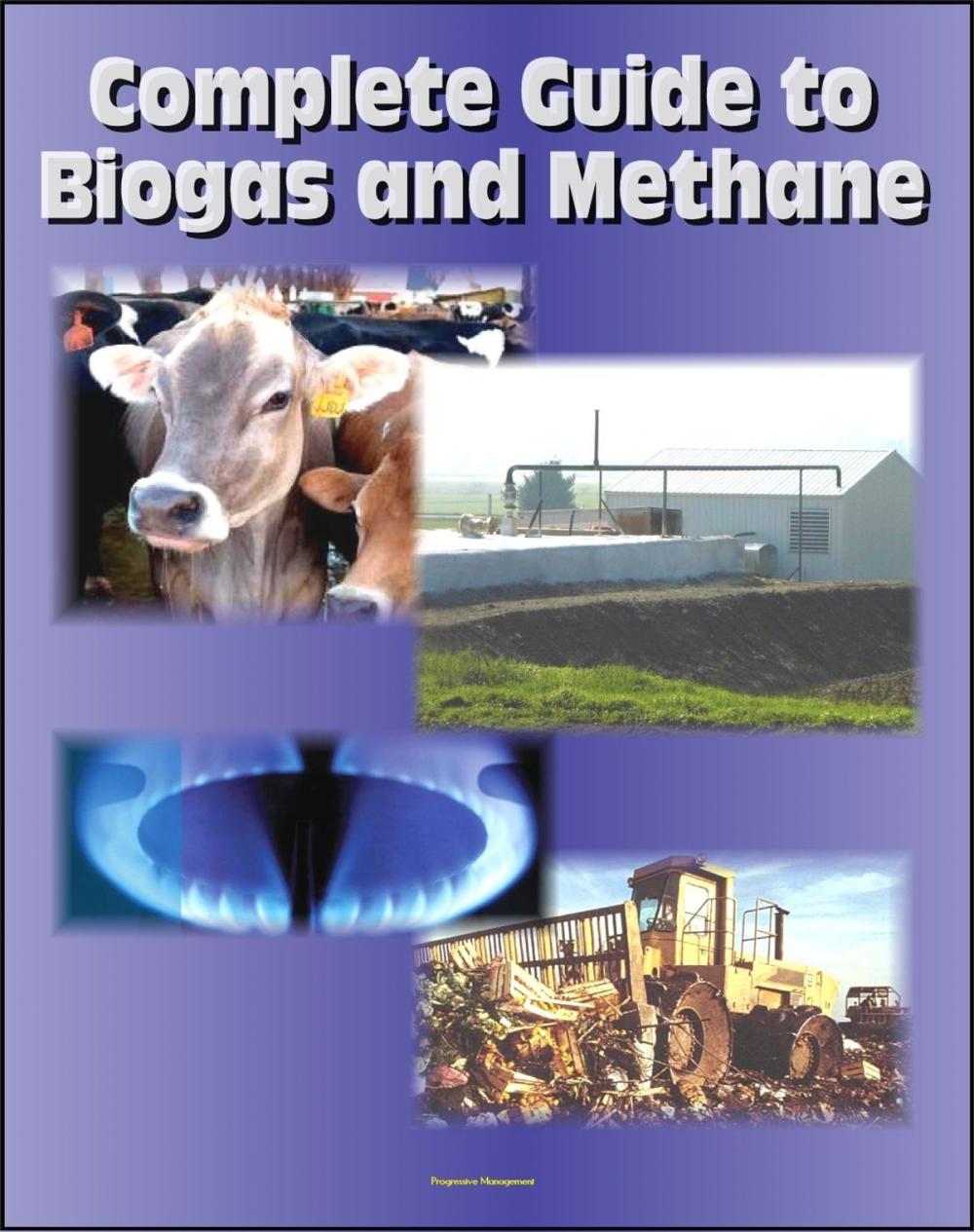 Big bigCover of 21st Century Complete Guide to Biogas and Methane: Agricultural Recovery, Manure Digesters, AgSTAR, Landfill Methane, Greenhouse Gas Emission Reduction and Global Methane Initiative