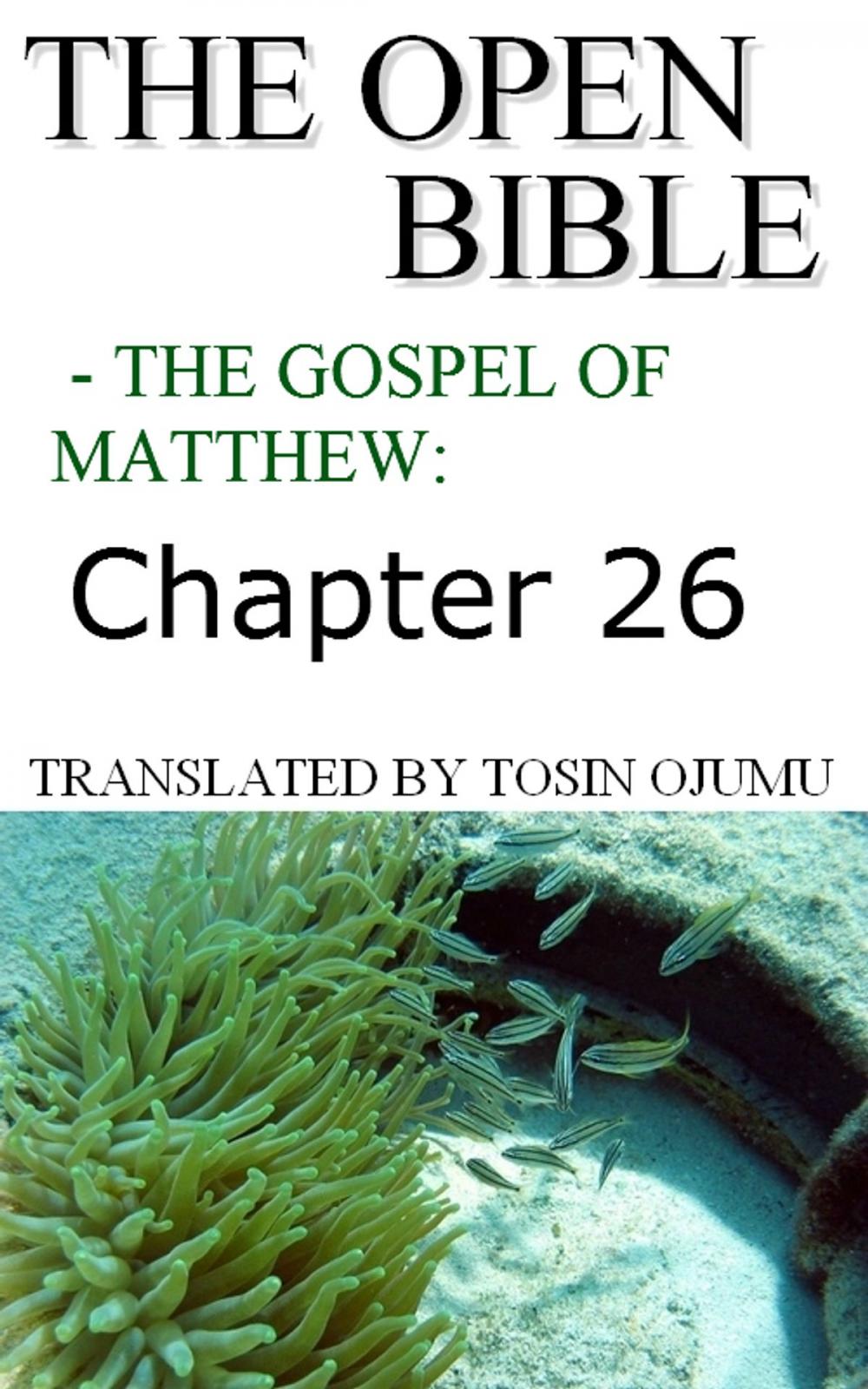 Big bigCover of The Open Bible: The Gospel of Matthew: Chapter 26