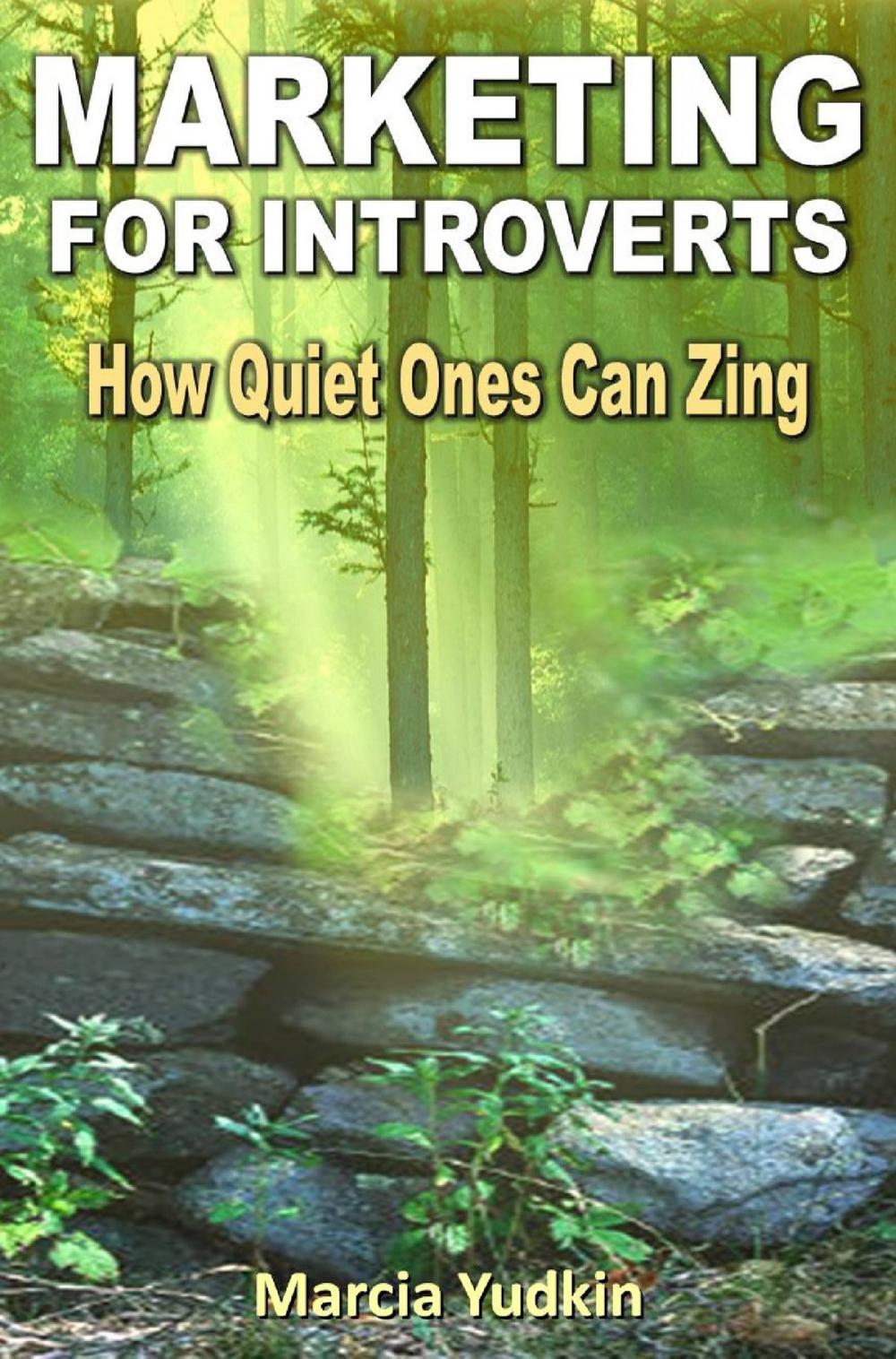 Big bigCover of Marketing for Introverts