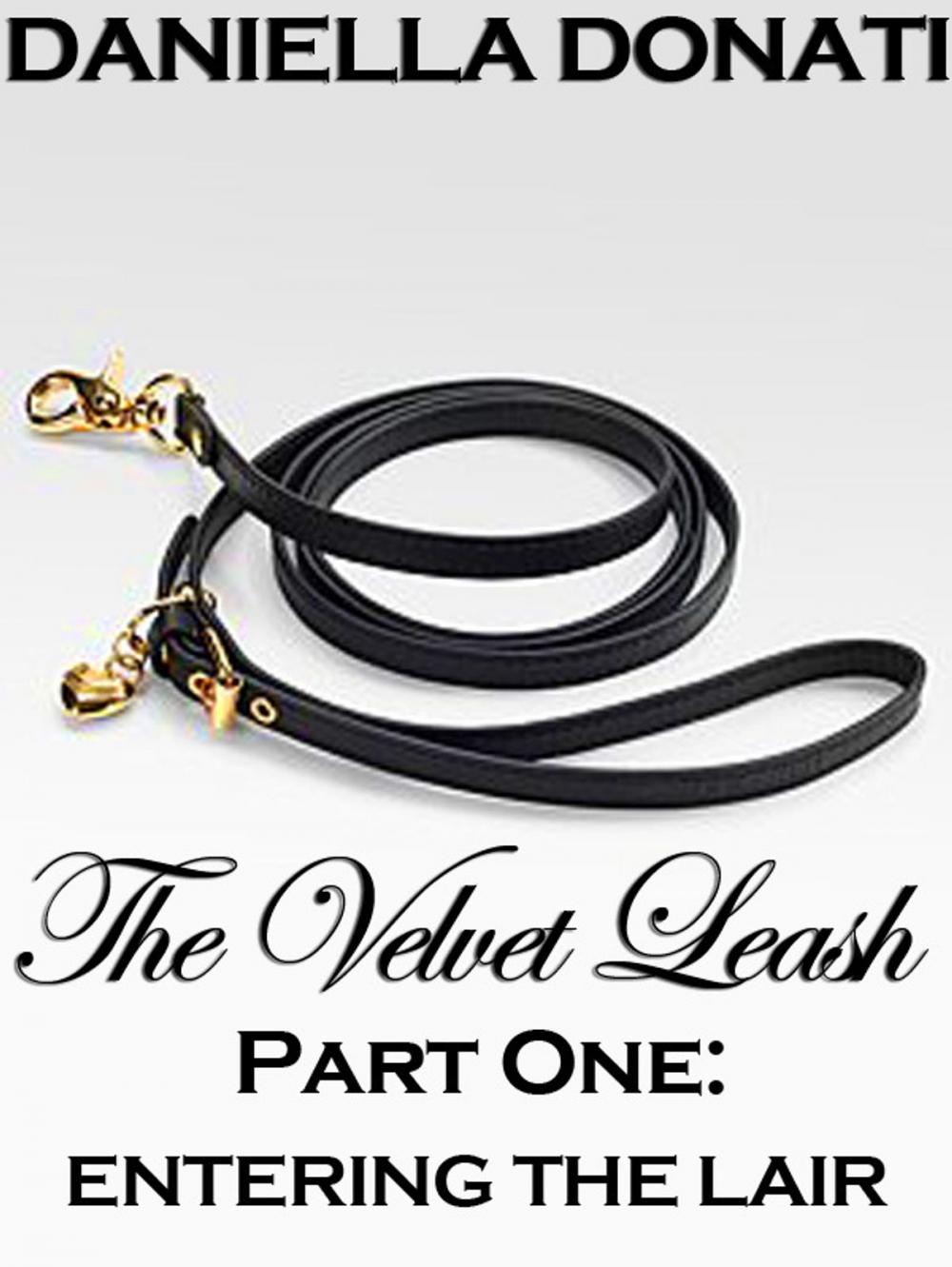 Big bigCover of The Velvet Leash -Part One: Entering The Lair