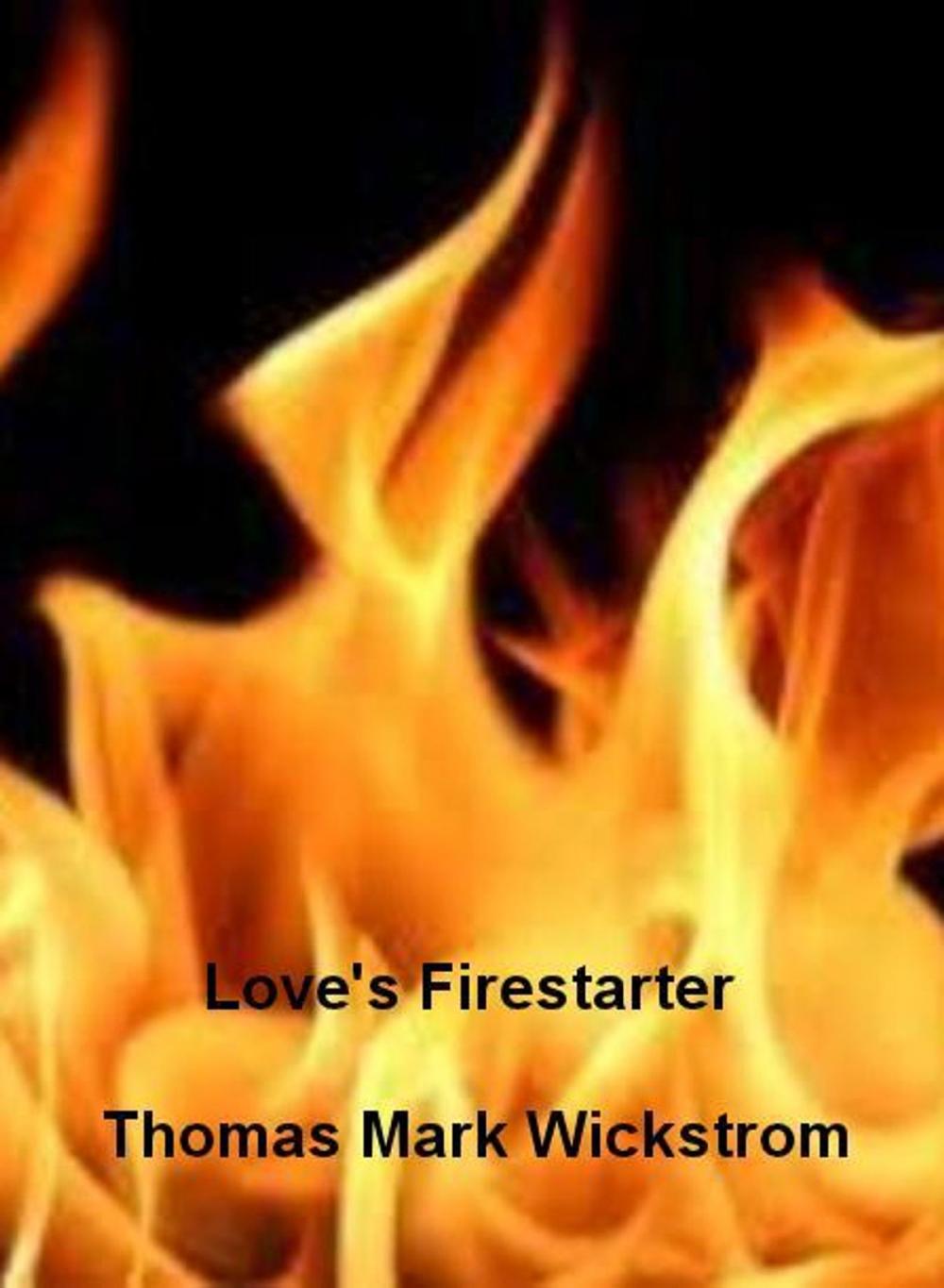 Big bigCover of Love's Firestarter