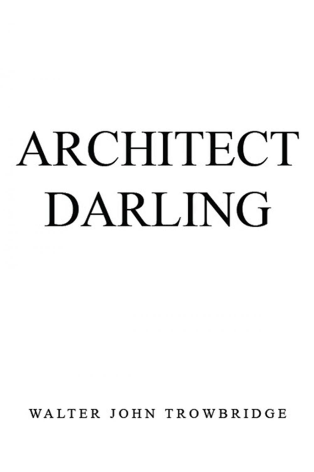 Big bigCover of Architect Darling