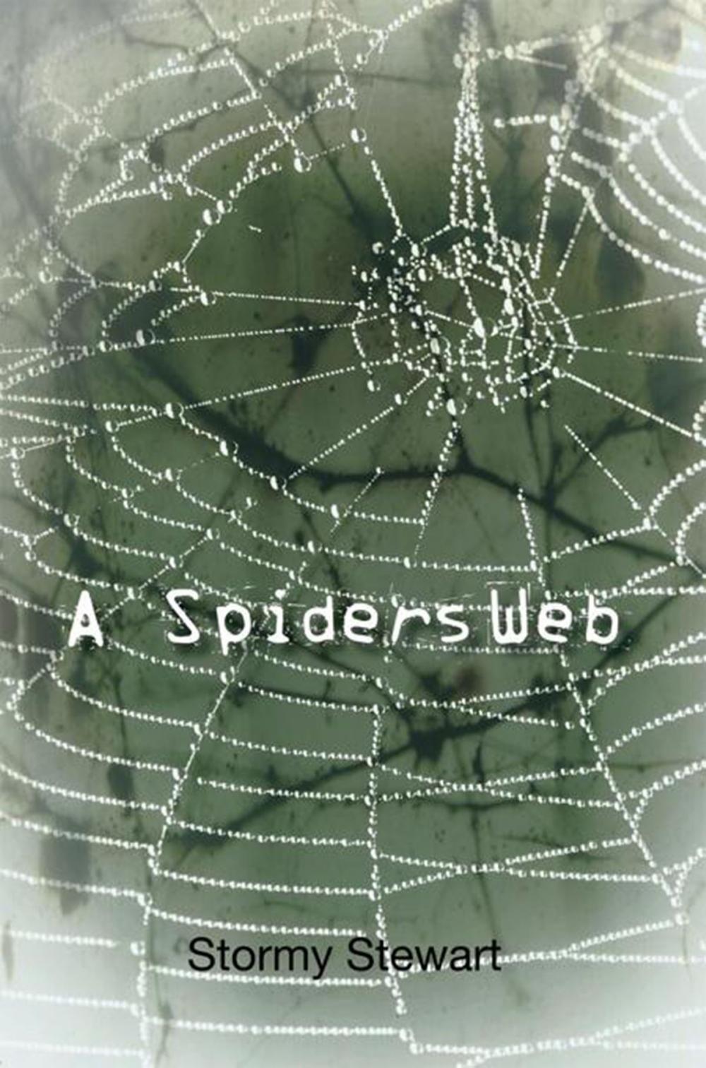 Big bigCover of A Spiders Web