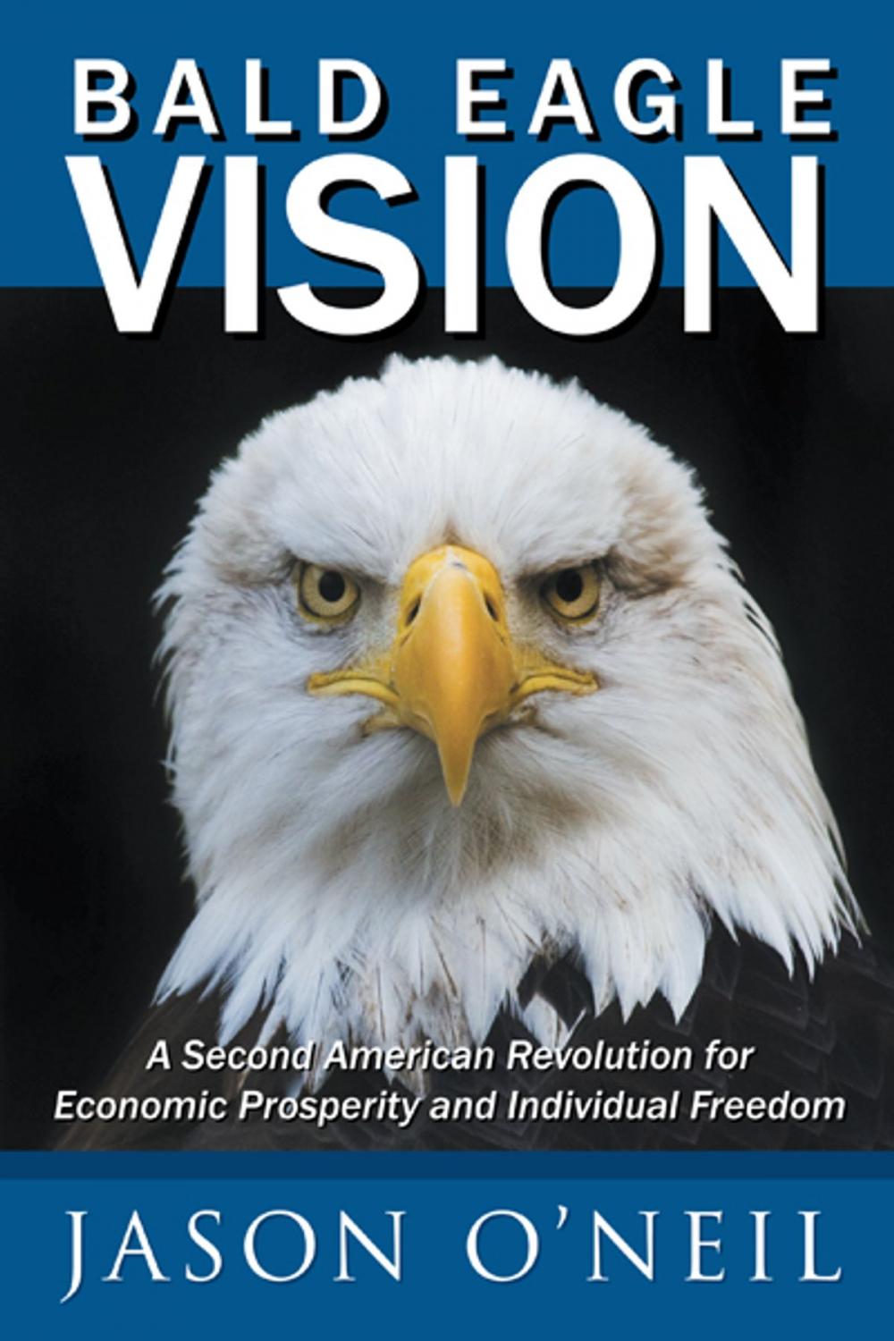 Big bigCover of Bald Eagle Vision