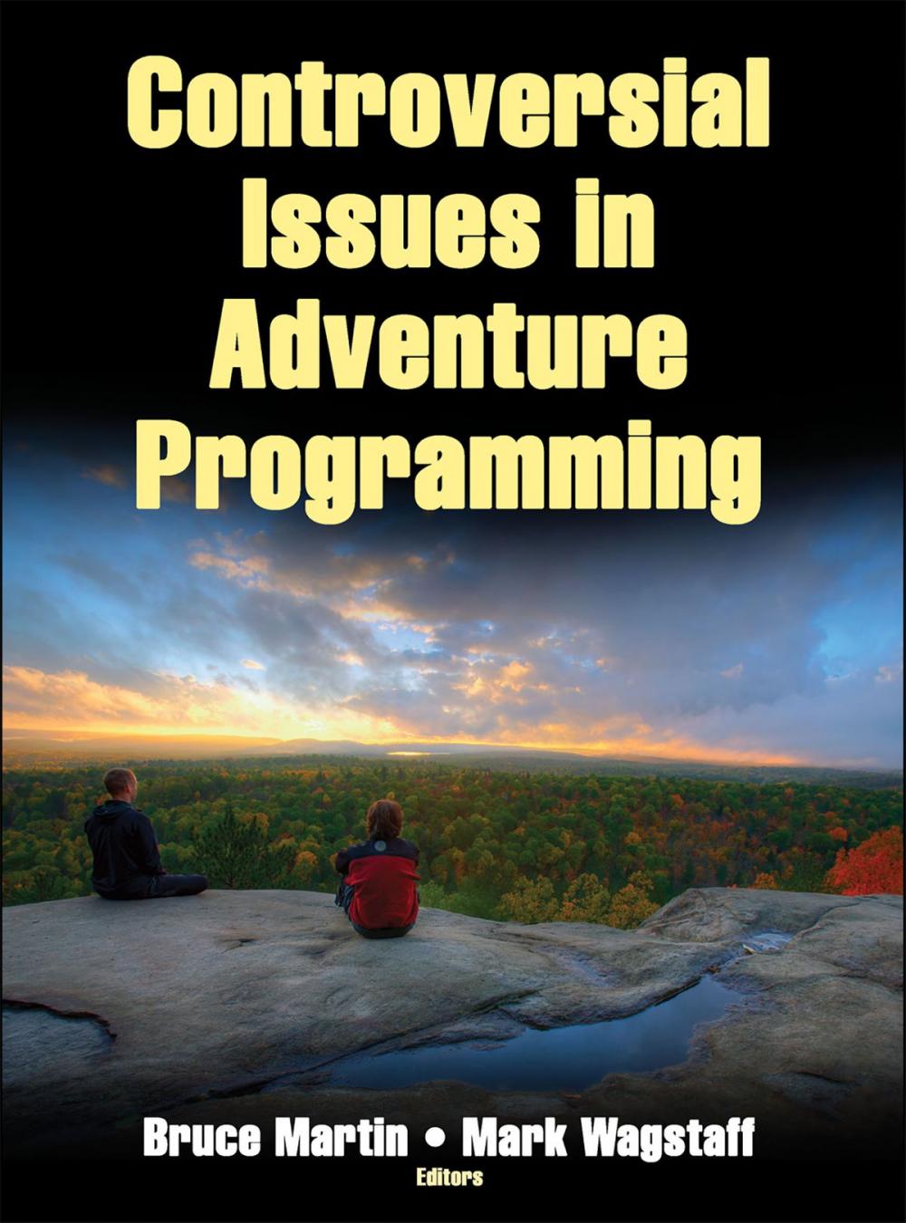 Big bigCover of Controversial Issues in Adventure Programming