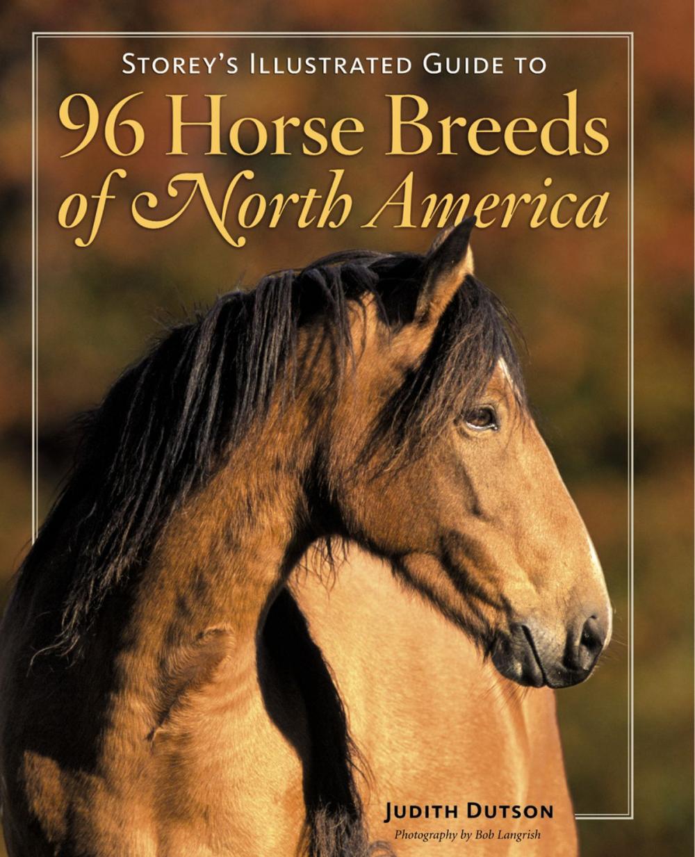 Big bigCover of Storey's Illustrated Guide to 96 Horse Breeds of North America
