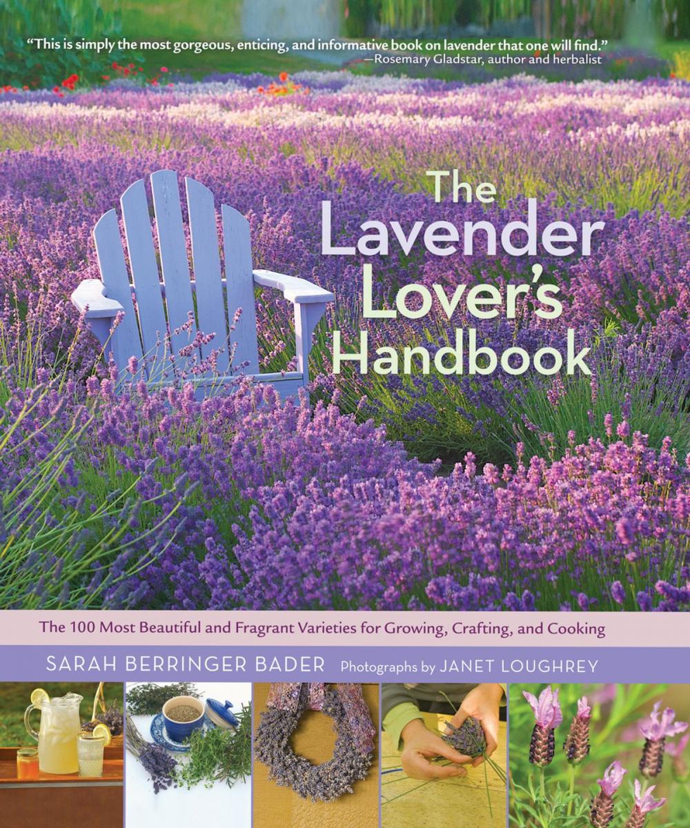 Big bigCover of The Lavender Lover's Handbook