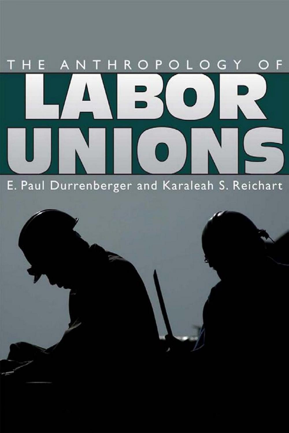 Big bigCover of The Anthropology of Labor Unions