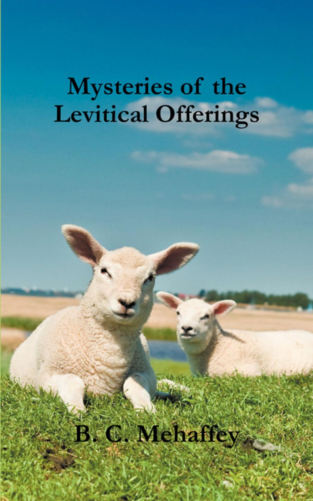 Big bigCover of Mysteries of the Levitical Offerings