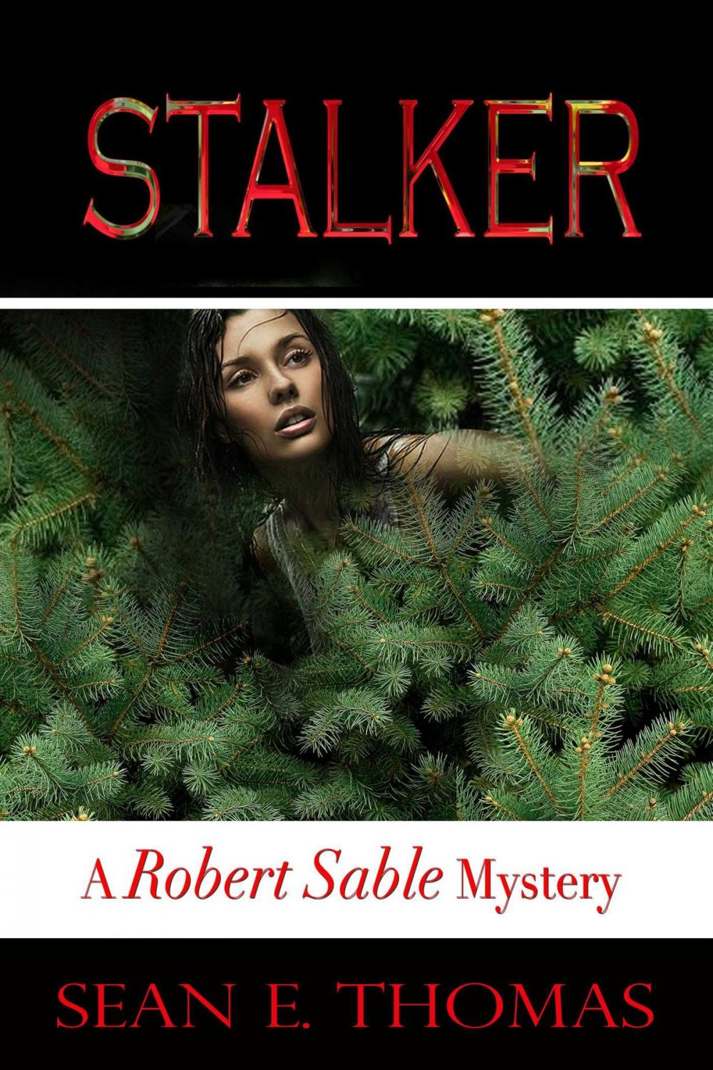 Big bigCover of Stalker