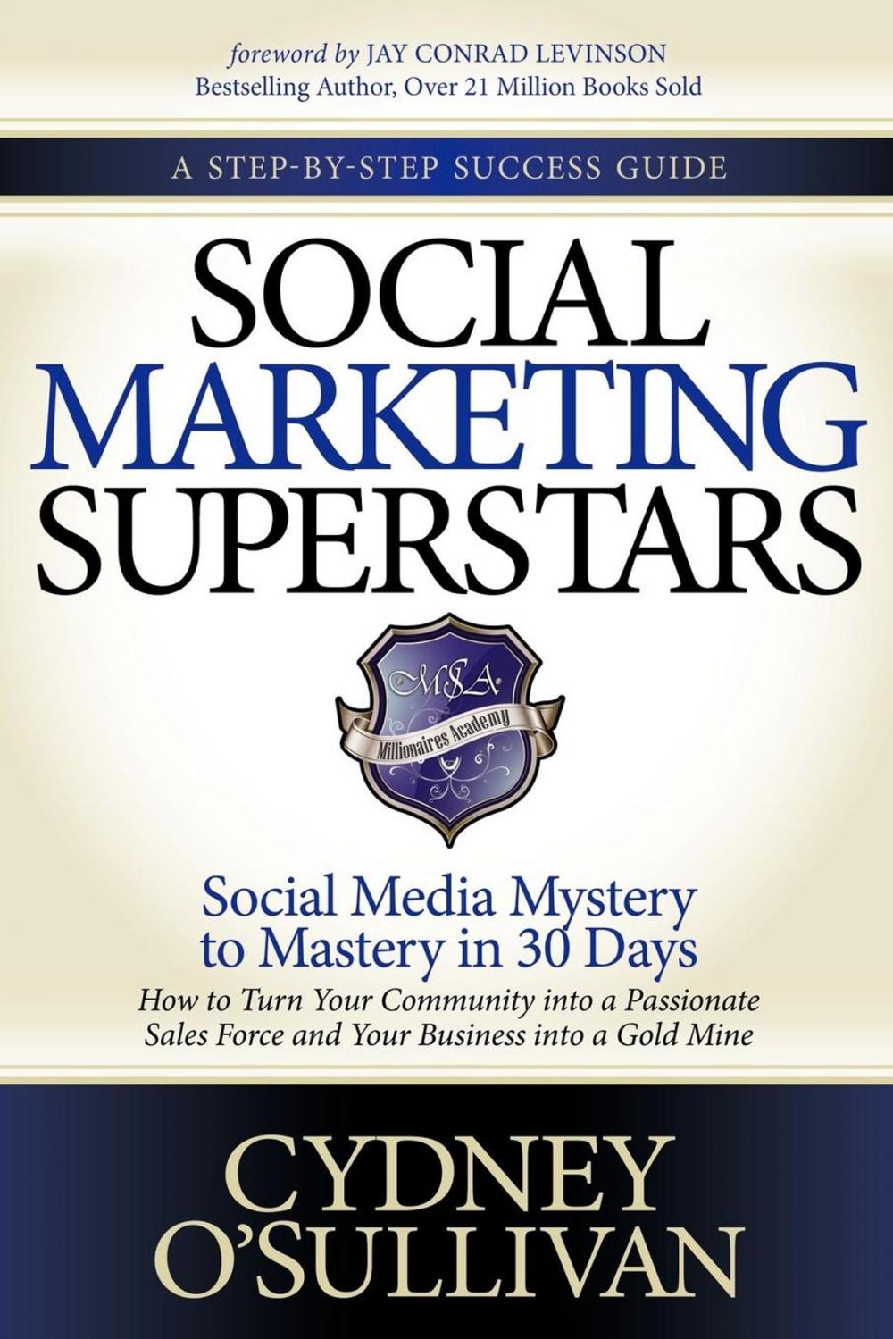 Big bigCover of Social Marketing Superstars