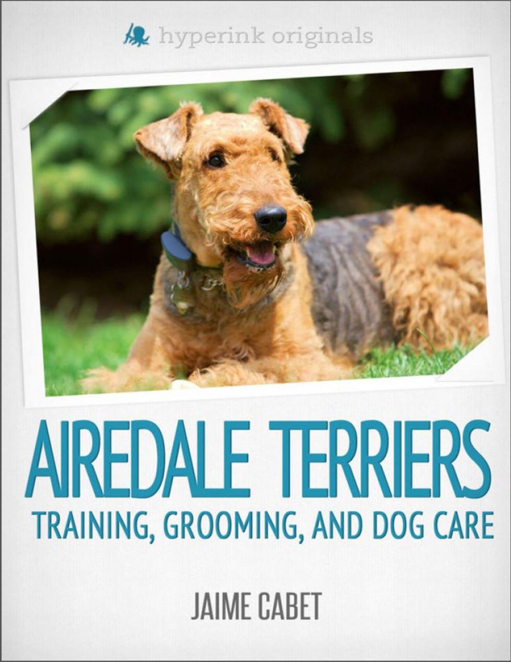 Big bigCover of A New Owner's Guide to Airedale Terriers