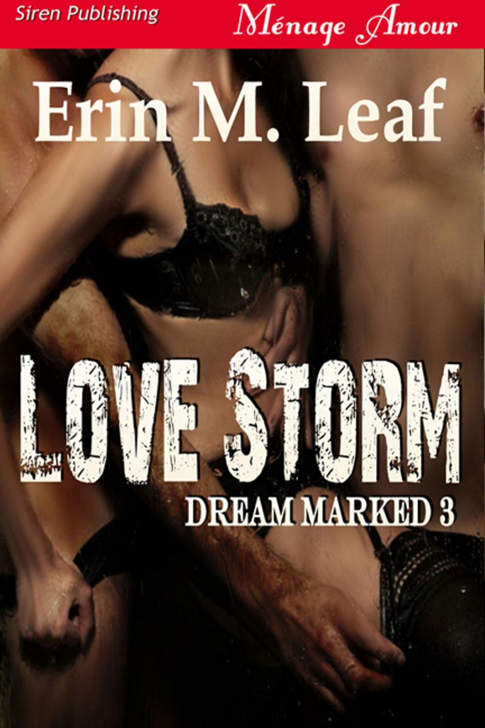 Big bigCover of Love Storm