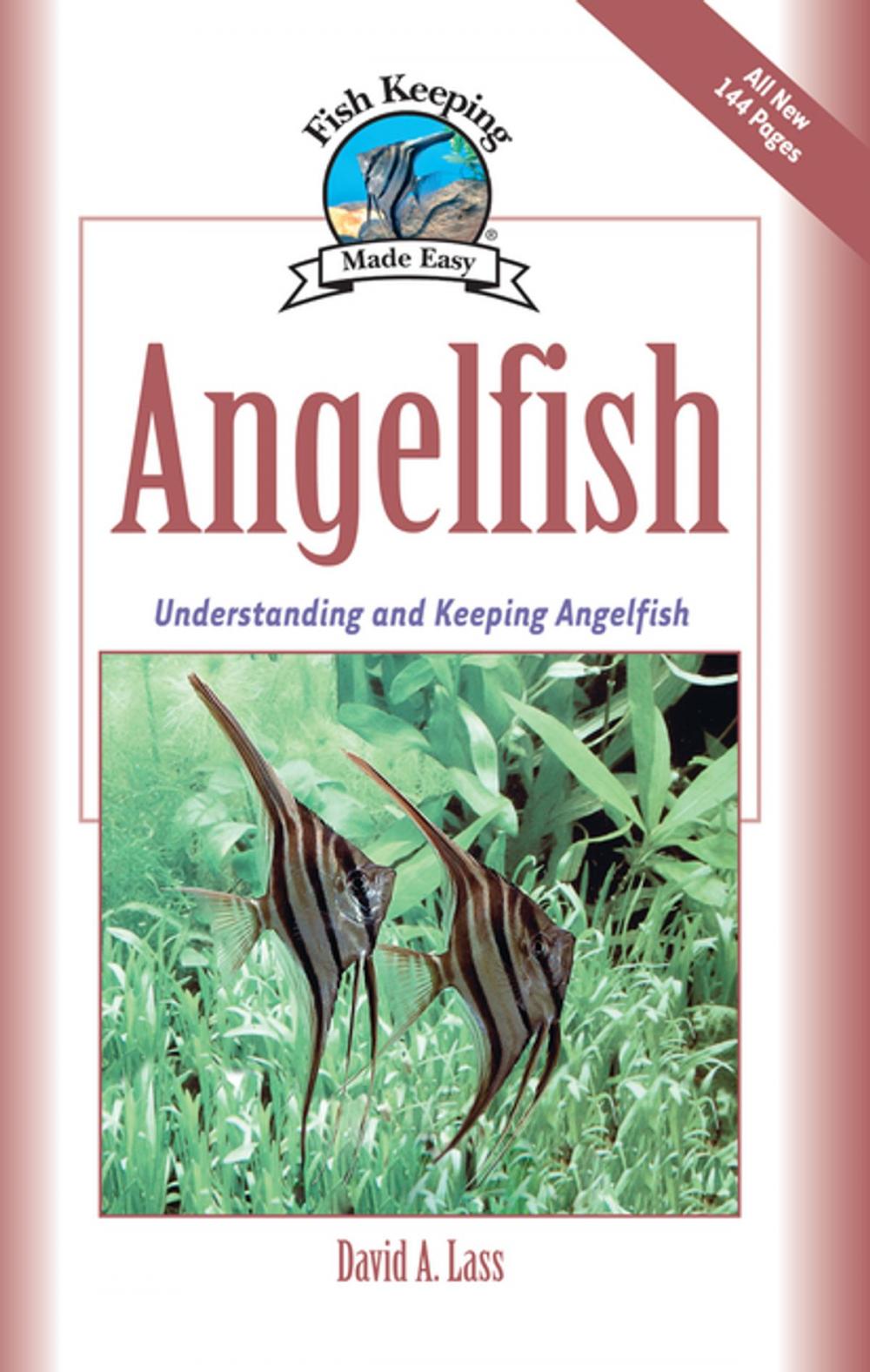 Big bigCover of Angelfish