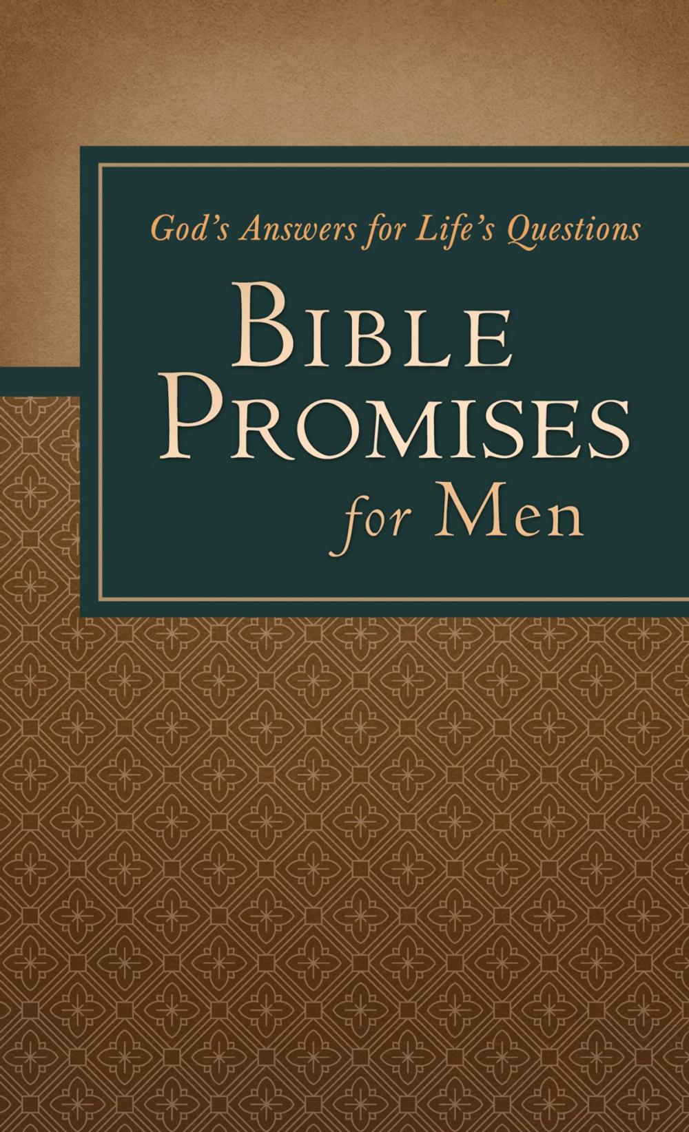 Big bigCover of Bible Promises for Men