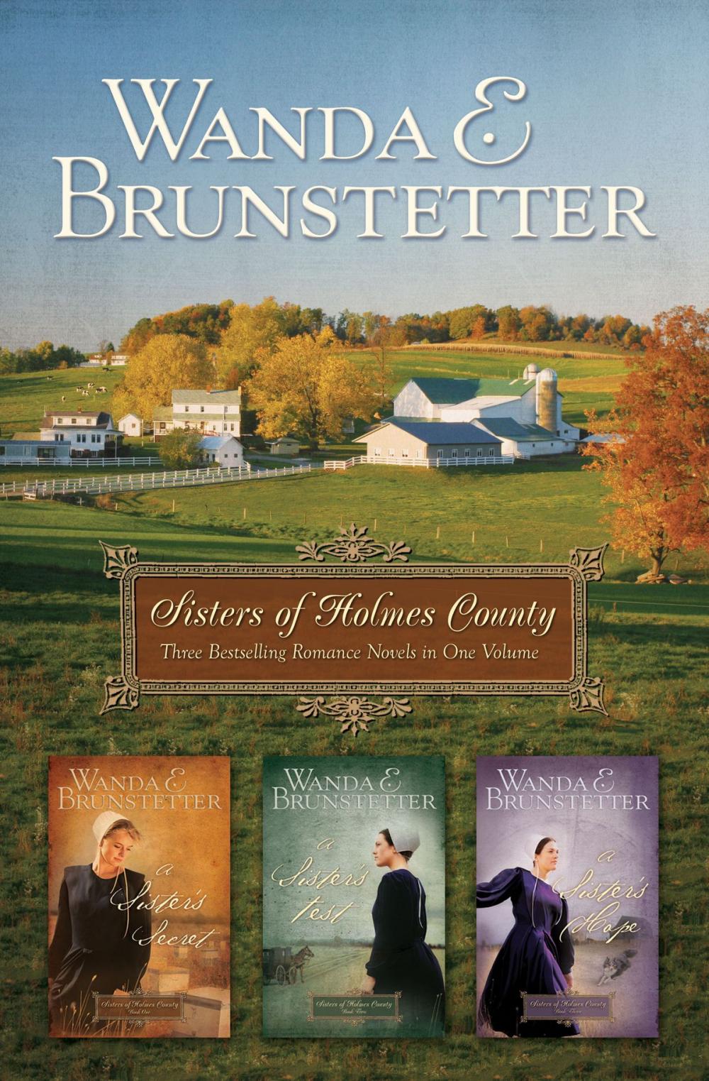 Big bigCover of Sisters of Holmes County Omnibus