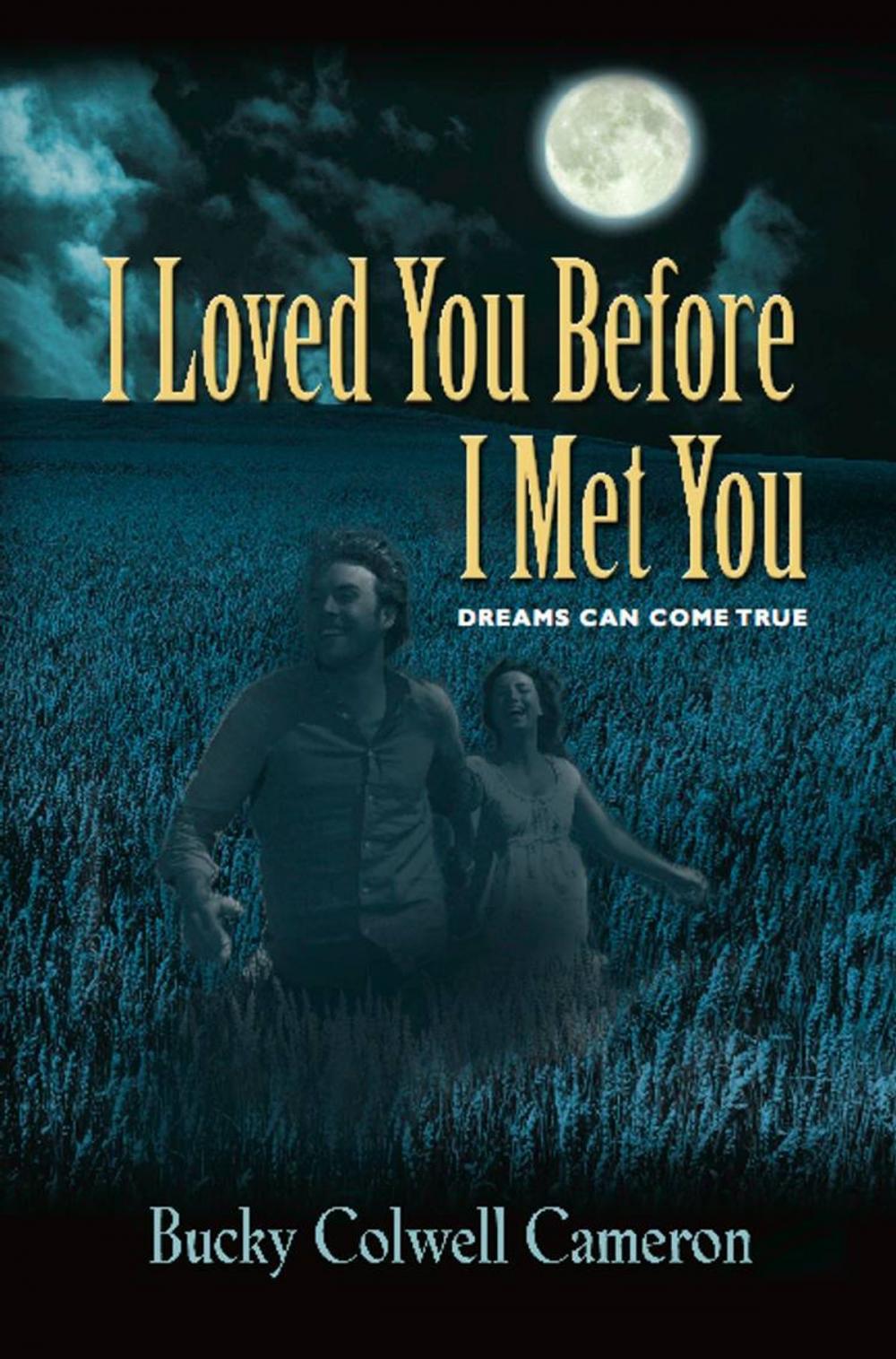 Big bigCover of I Loved You Before I Met You