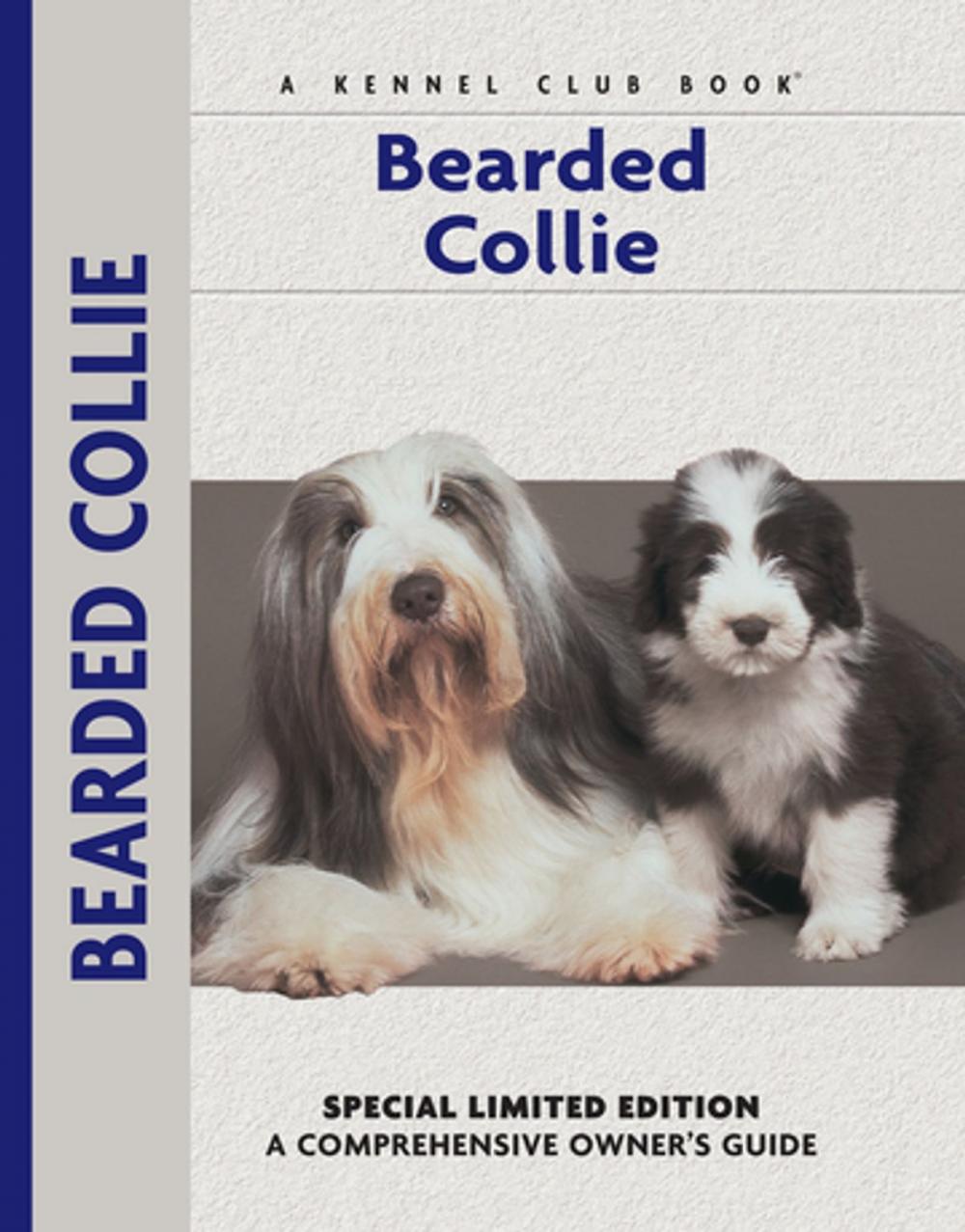 Big bigCover of Bearded Collie